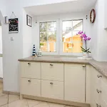 Kuca Za Odmor Antic - House Antic